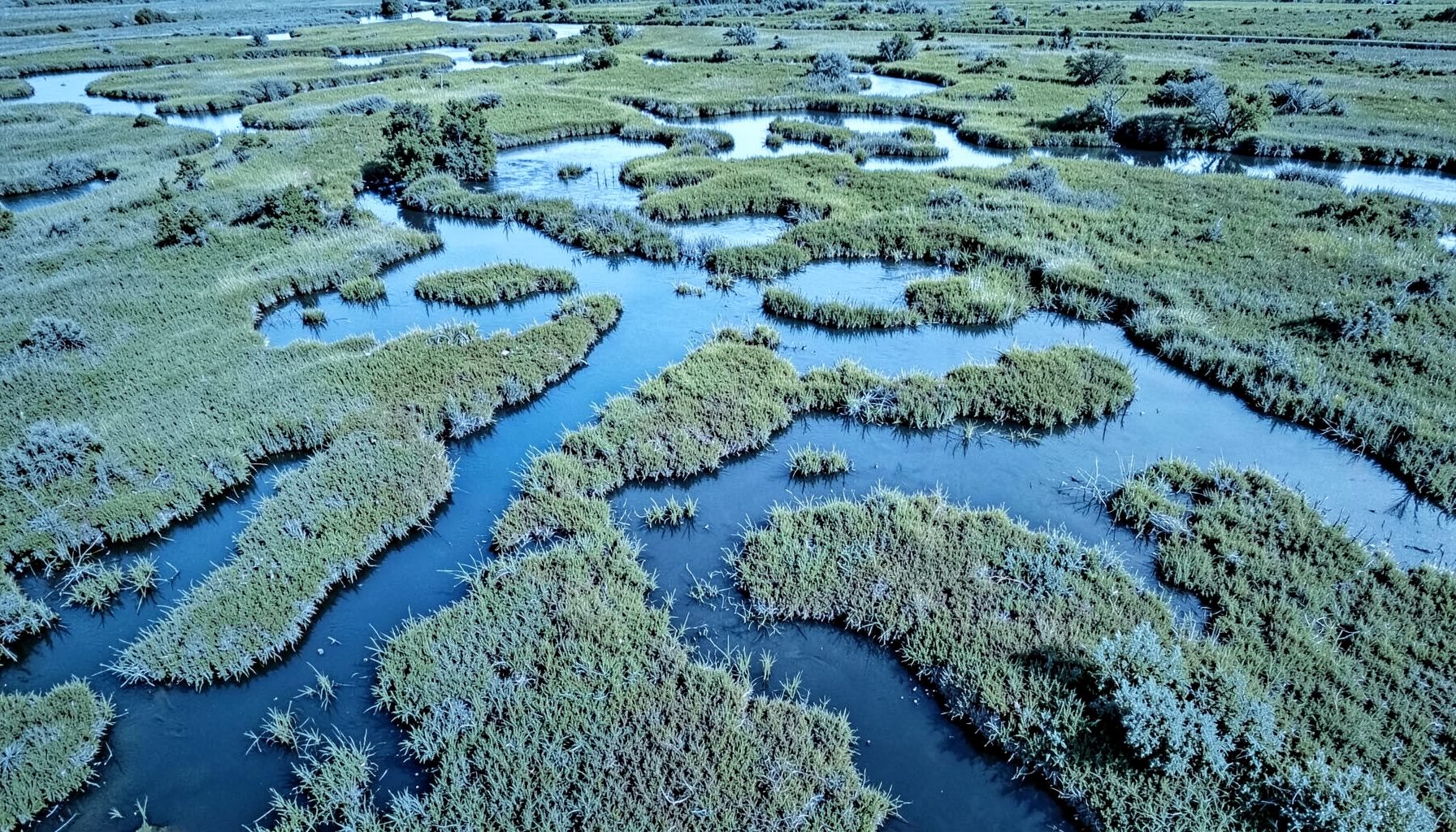 Aerial wetland landscape with winding waterways and marsh vegetation in muted greens and blues